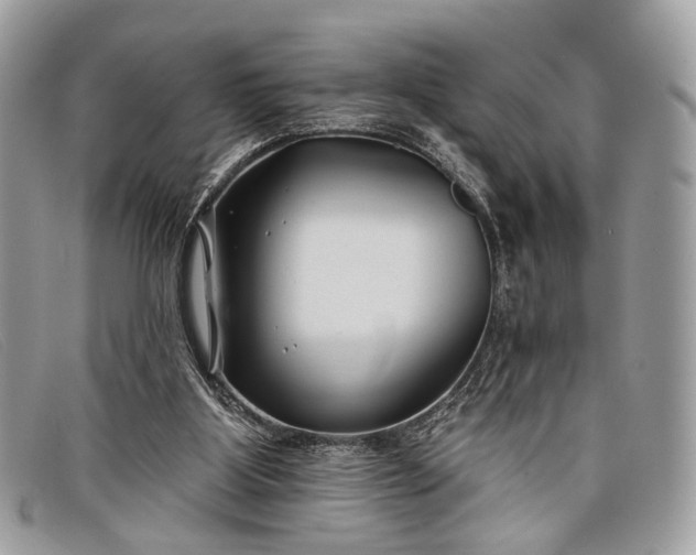 X0000098030107200804111332