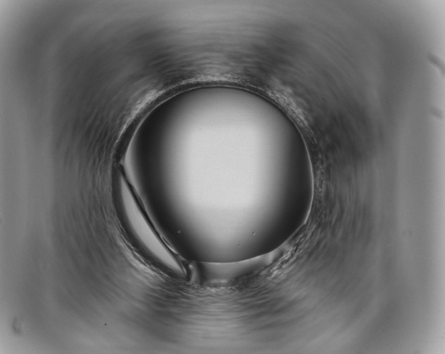 X0000098030108200804111332