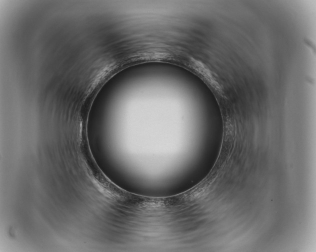 X0000098030110200804111332