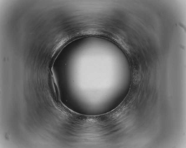 X0000098030111200804111332