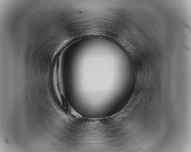 X0000098030112200804111332