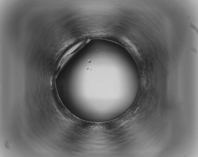 X0000098030115200804111331