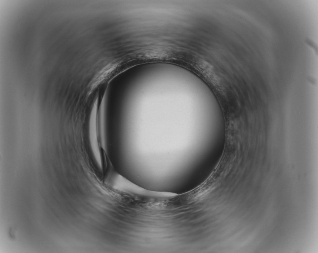 X0000098030116200804111331