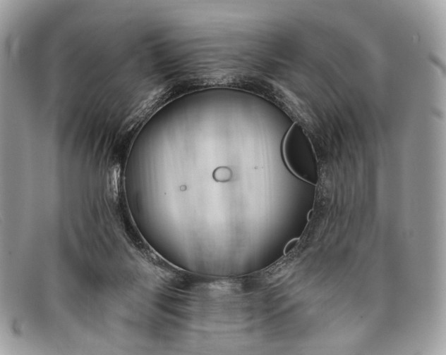 X0000098030118200804111331