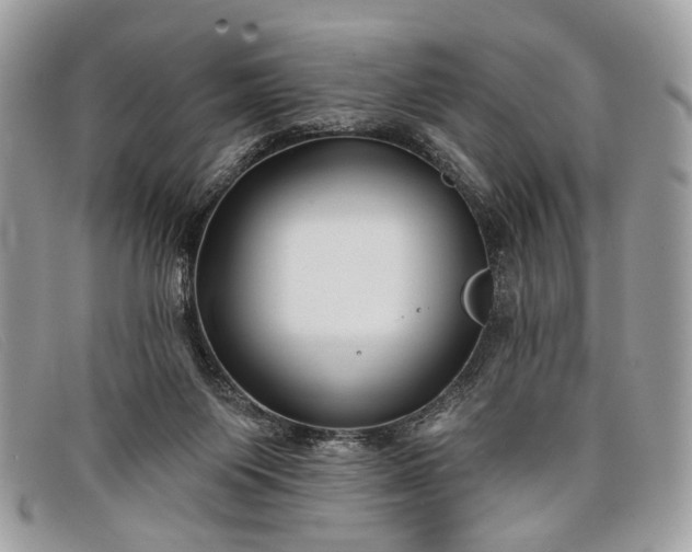 X0000098030119200804111331