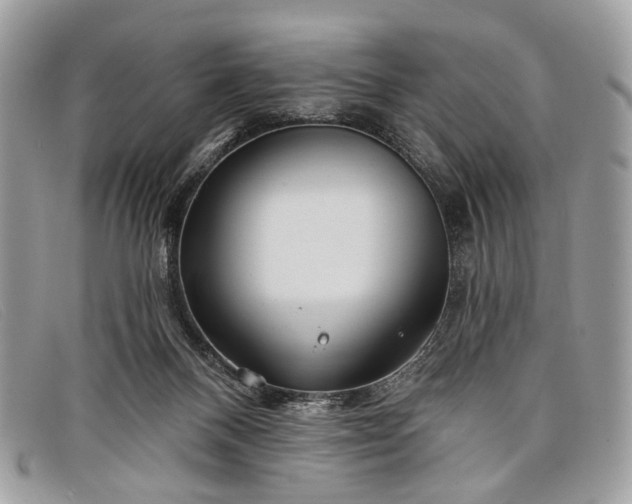 X0000098030120200804111331