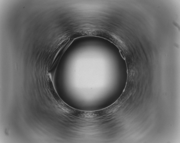 X0000098030121200804111331