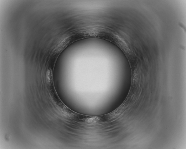 X0000098030122200804111331