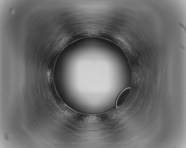 X0000098030123200804111331