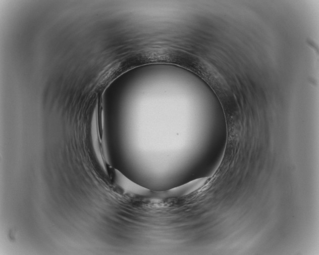 X0000098030124200804111331