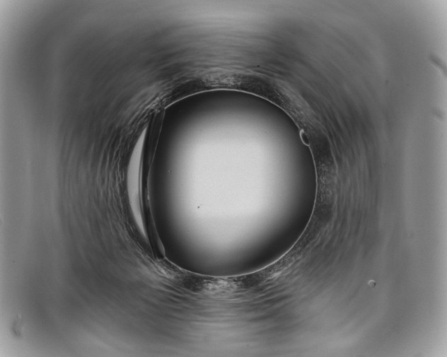 X0000098030125200804111331