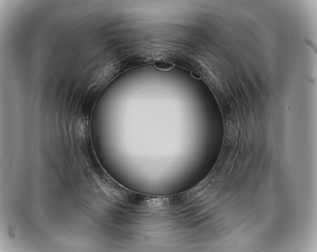 X0000098030126200804111331