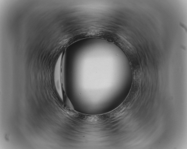 X0000098030127200804111331