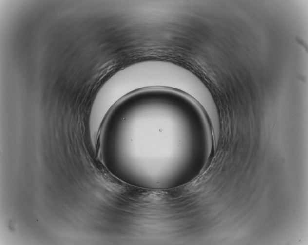 X0000098030128200804111331