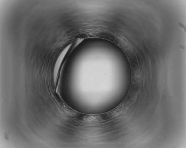 X0000098030129200804111331