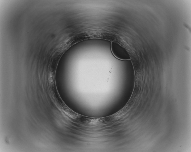 X0000098030130200804111331