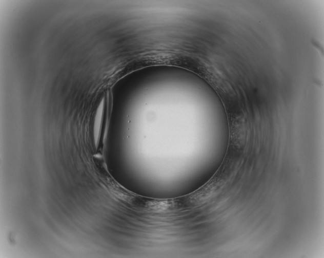 X0000098030131200804111331