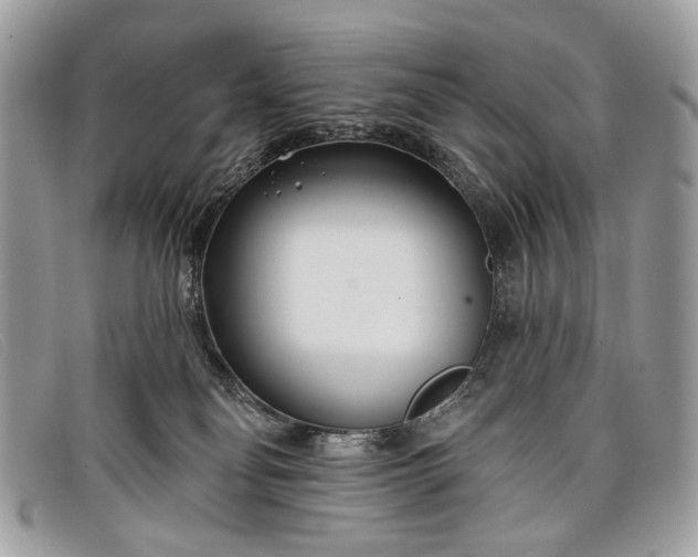 X0000098030134200804111331