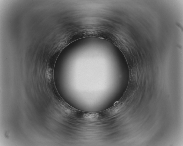 X0000098030135200804111331