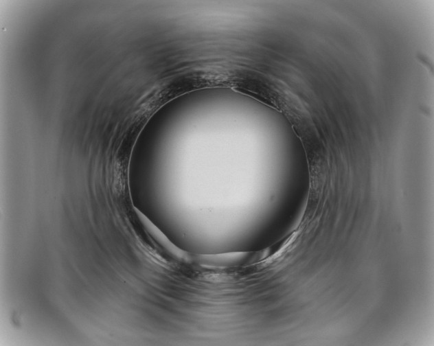 X0000098030136200804111331