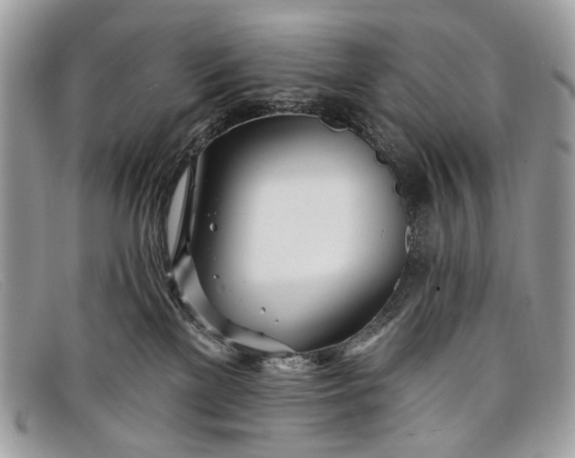 X0000098030137200804111331