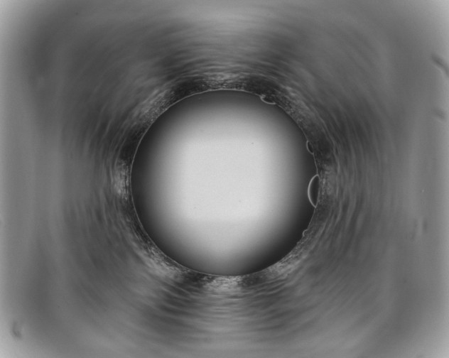 X0000098030138200804111331