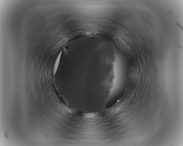 X0000098030139200804111331