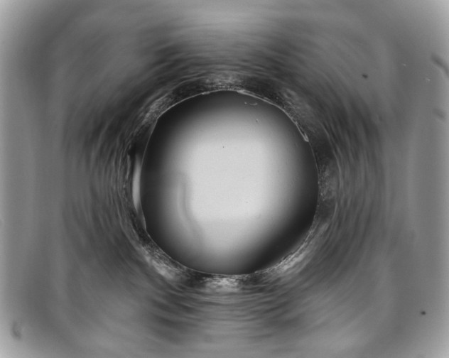 X0000098030140200804111331