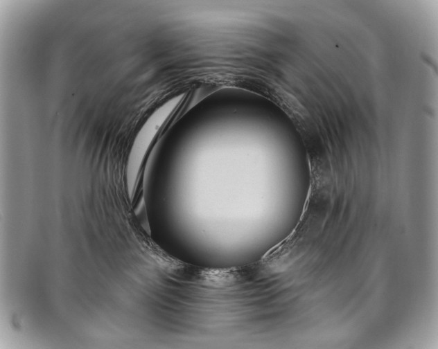 X0000098030141200804111331