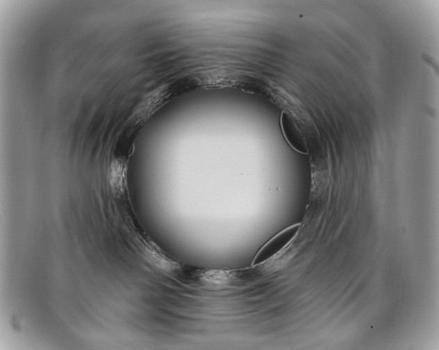 X0000098030142200804111331