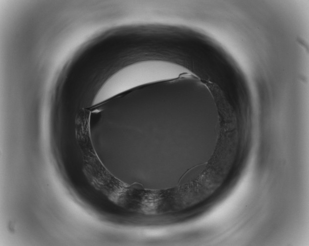 X0000098030143200804111331