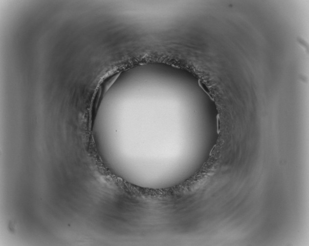 X0000098030144200804111331