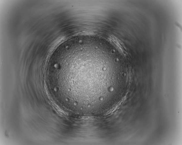 X0000098030145200804111330