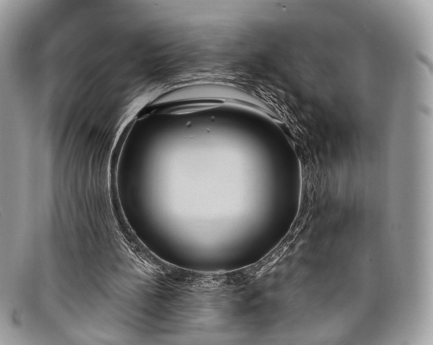 X0000098030148200804111330