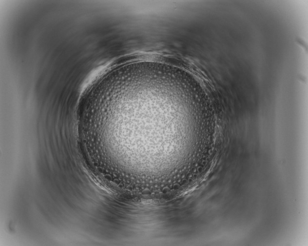 X0000098030149200804111330