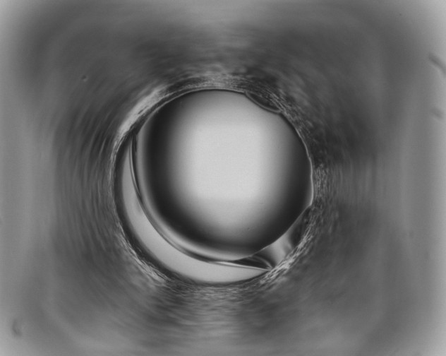 X0000098030150200804111330