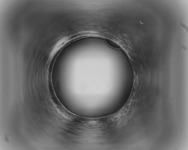 X0000098030151200804111330