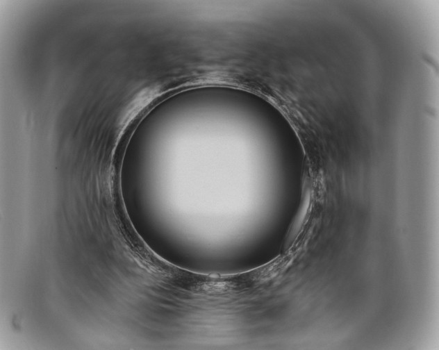 X0000098030152200804111330