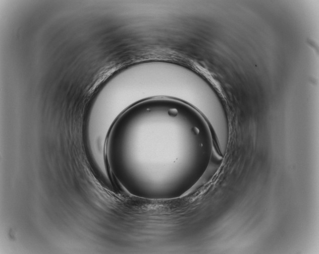 X0000098030154200804111330