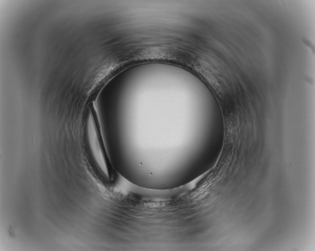 X0000098030160200804111330