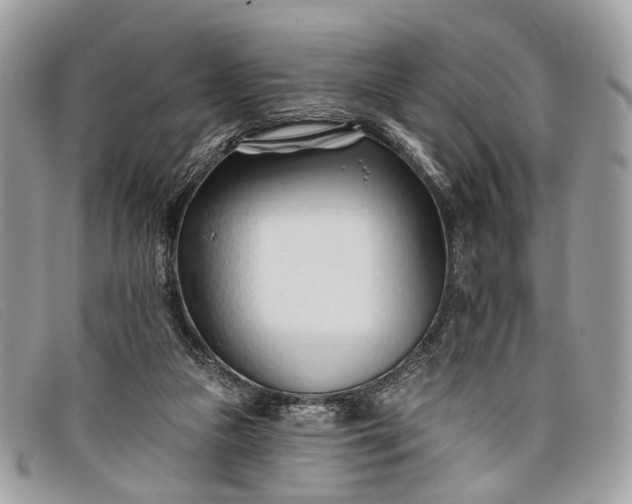 X0000098030161200804111330