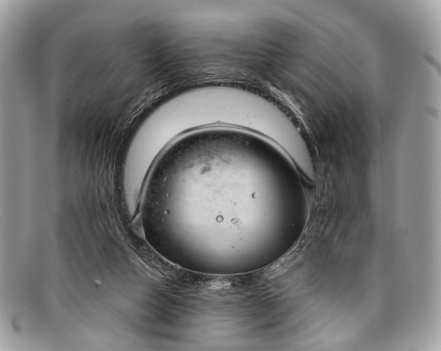 X0000098030162200804111330