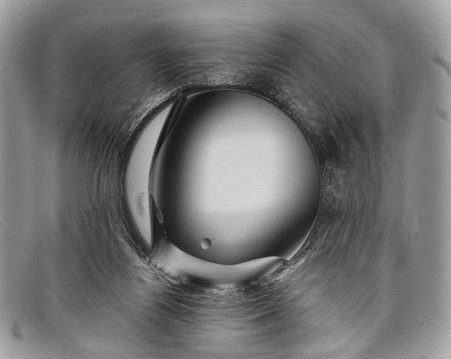 X0000098030164200804111331