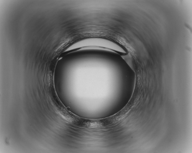 X0000098030165200804111331