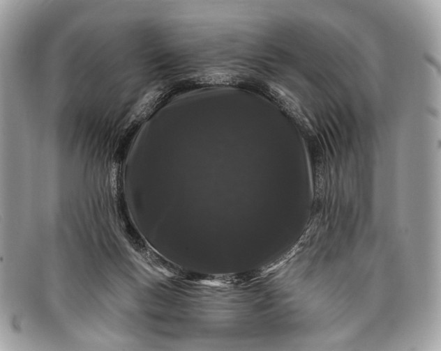 X0000098030167200804111331