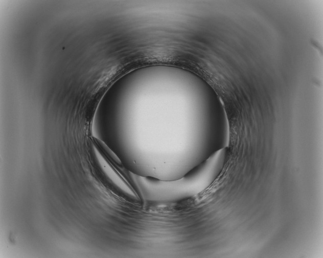 X0000098030168200804111331