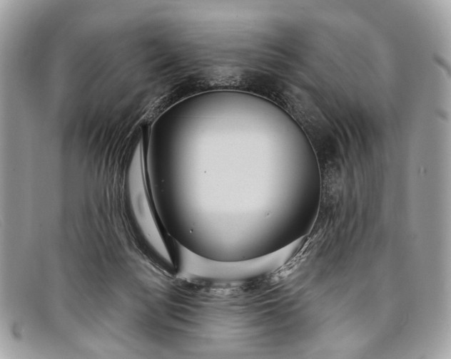 X0000098030172200804111331