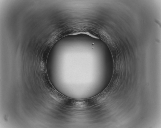 X0000098030173200804111331