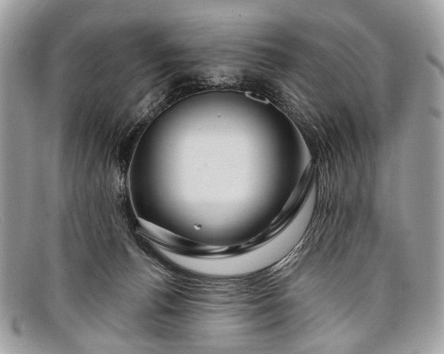 X0000098030176200804111331