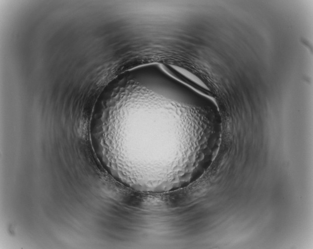 X0000098030177200804111331